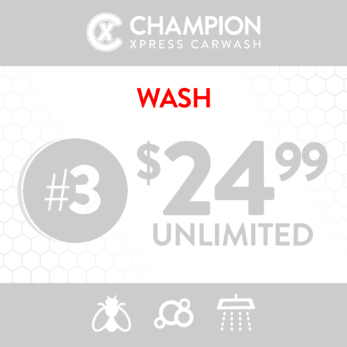 unlimitedplan 3 24 99