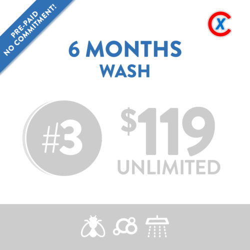prepaid: 6 months #3 wash (model 4)