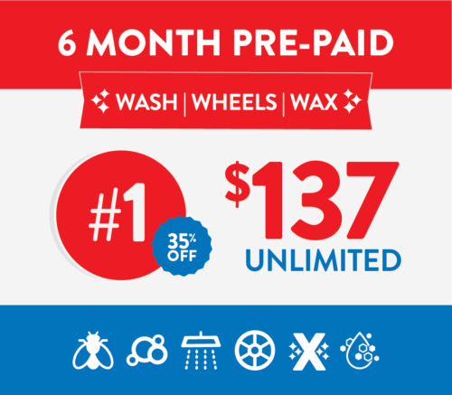 #1 6 months pre paid pass (model 2)