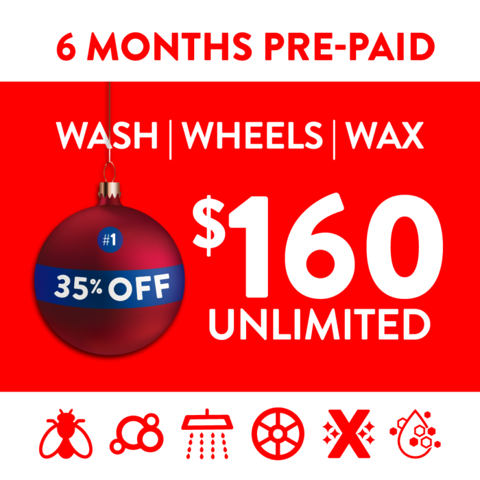 winter prepaid1 6month model1