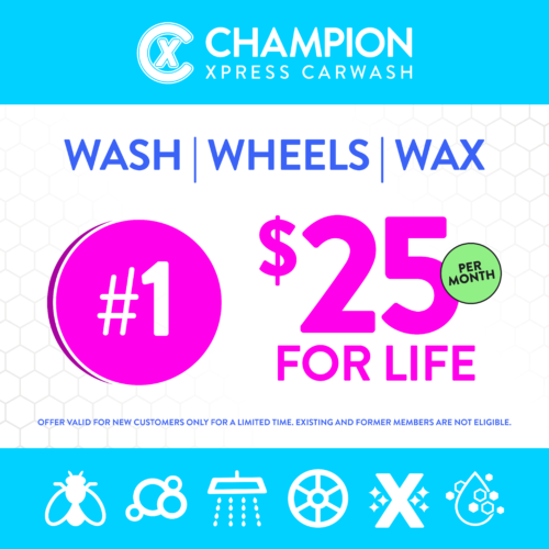 unlimited: $25 for life