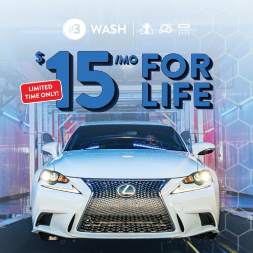 unlimited: $25 for life (copy)
