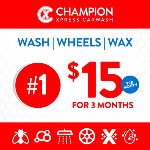 3x clean for $15 (model 1)